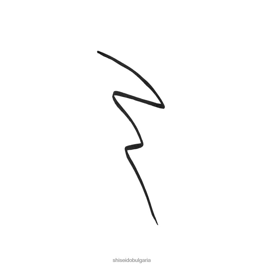 грим Shiseido archliner мастило DJ08T4123