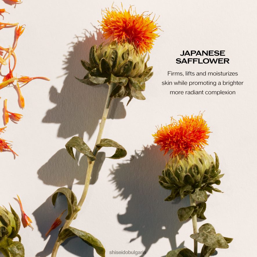 грижа за кожата Shiseido повдигащ и стягащ дневен крем SPF 30 DJ08T422